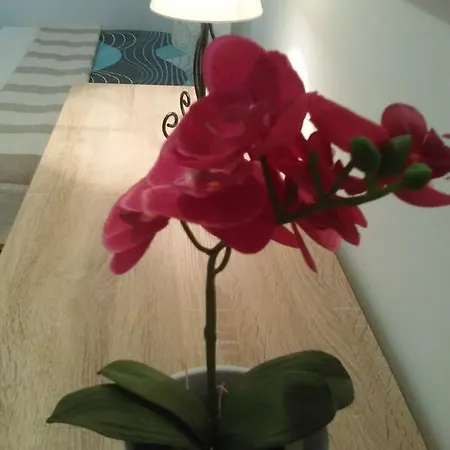 Holiday Rastici 15772 * Trogir